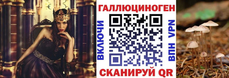 Псилоцибиновые грибы Psilocybe  закладки  Бронницы 